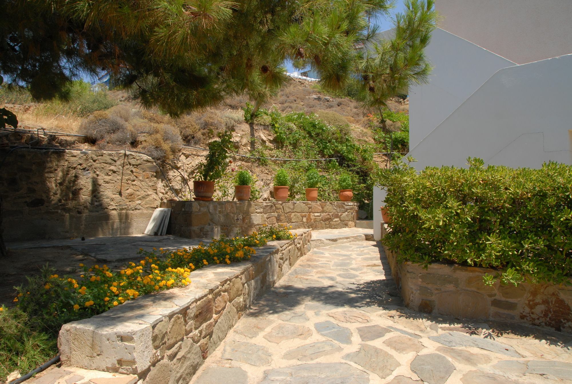 Zorbas Apartments Volissos Exterior photo